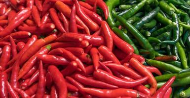 red and green chili pepper photo