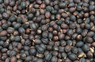 Coffee beans dried in the sun photo