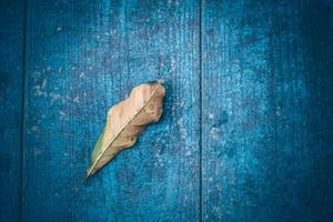 Top view of Autumn Leave over rustic wooden table background with Copy space photo
