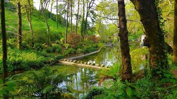 Garden and fountain in Sintra photo