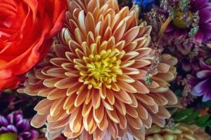 Assortment of bright flowers in an arrangement. photo