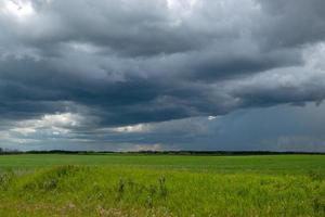 Approaching storm clouds above a canola field, Saskatchewan, Canada. photo