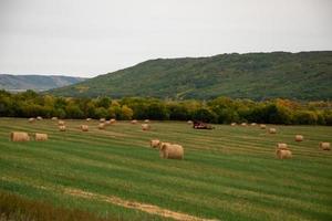 heno fresco recién embalado todavía en el campo foto