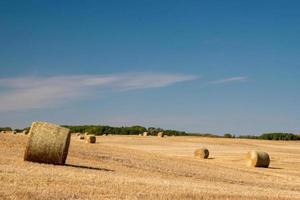 Newly harvested fields in the rural municipality of MacNutt, Saskatchewan, September 16, 2020. photo