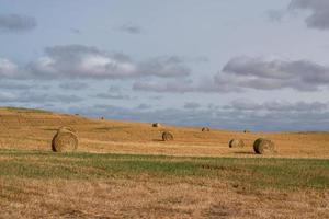 Hay Bales after fall harvest on the Canadian Prairies. photo