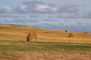 Hay Bales after fall harvest on the Canadian Prairies. photo