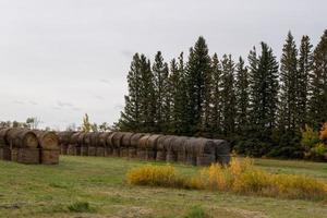 Hay Bales after fall harvest on the Canadian Prairies. photo