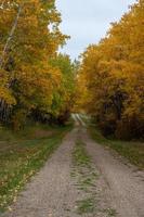 Back country road on the Canadian prairies in fall. photo