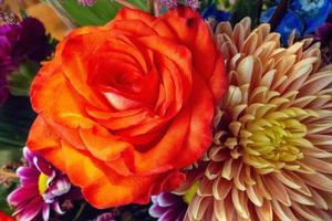 Assortment of bright flowers in an arrangement. photo