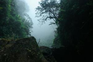 thick fog between the gaps of the mountain cliffs photo