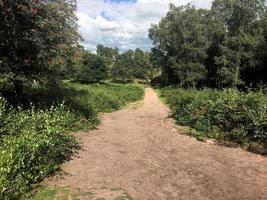 A view of Bickerton Hills in Cheshire photo