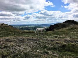 A view of the Caradoc Hills in Shropshire photo