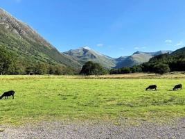 A view of the Scottish Highlands near Ben Nevis photo