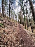 A view of Bickerton Hills in Cheshire photo