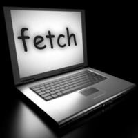 fetch word on laptop photo