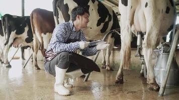 landbouwmannen dragen gestreepte overhemden en laarzen en nemen nota van de inspectie en analyse van koeien op de boerderij terwijl ze de automatische koezuiger gebruiken. gelukkig op de boerderij video