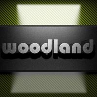 woodland word of iron on carbon photo
