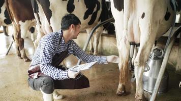 los hombres de agricultura usan camisas a rayas y botas tomando nota de la inspección y el análisis de las vacas en la granja mientras usan el succionador automático de vacas. felizmente dentro de la granja