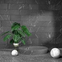 3d rendering minimal podium stage design in dark interior environment with marble texture and plants photo