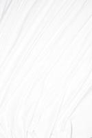 Abstract Background on isolated. Abstract white waves. Wave from Curtain. White wave background. photo