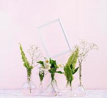 Flowers and plants in flask with frame. Beautiful spring background with flowers in vase. photo