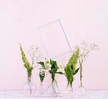 Flowers and plants in flask with frame. Beautiful spring background with flowers in vase. photo