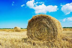 Natural landscape. Field with hay bale under the blue sky photo