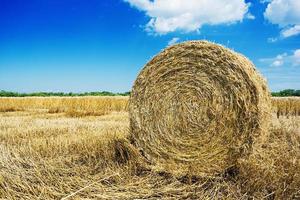 Natural landscape. Field with hay bale under the blue sky photo