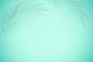 Abstract black shadow of palm leaf on green wall background for pattern design. photo