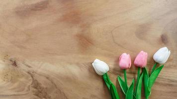 Tulip flower  on wooden background photo