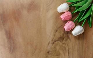 Tulip flower  on wooden background photo