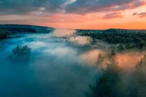 Foggy dawn on the edge of forest photo