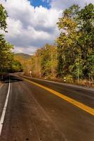 Road and forest color  on both sides photo