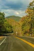 Road and forest color  on both sides photo