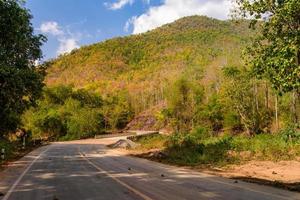 Road and forest color  on both sides photo