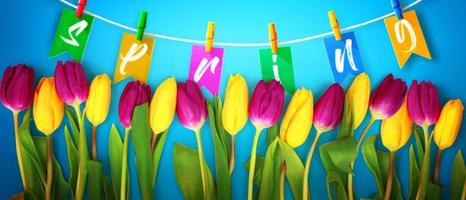 Beautiful tulips. Spring nature background for web banner and card design. photo