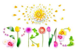 Flowers and herbs with word spring. Creative floral composition. photo
