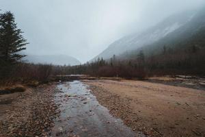 Stream on a foggy day photo