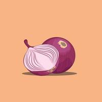 onion vector on colorful background