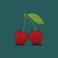 cherry fruit vector