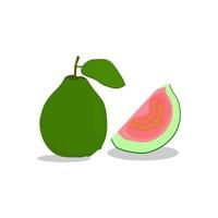 fresh red guava fruit vector