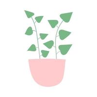 Illustration of house plant with flat style vector