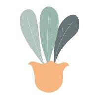 Illustration of house plant with flat style vector