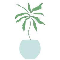 Illustration of house plant with flat style vector