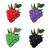 Purple Grapes Illustration - A bunch of purple grapes with stems and leaves isolated on a white background vector