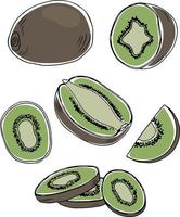 Vector set of kiwi fruits. Whole, halved and slices in colorful doodle style isolated on white background. Vector illustration