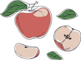 Vector apple in graphic style on a white background. A simple illustration in flat graphics for design.