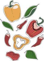 Vector set of bell peppers and chili peppers with leaves isolated on white background. Vector illustration