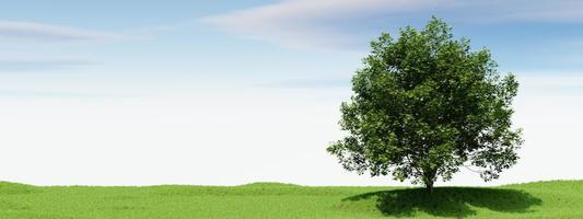 Big tree with blue sky background. Nature and landscape concept. 3D illustration rendering