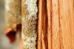 detalle abstracto de grano de madera roto con rayas foto